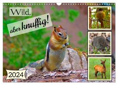 Wild, aber knuffig! (Wandkalender 2024 DIN A3 quer), CALVENDO Monatskalender - Plastron Pictures, Lost