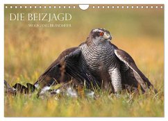Die Beizjagd (Wandkalender 2024 DIN A4 quer), CALVENDO Monatskalender - Brandmeier, Wolfgang