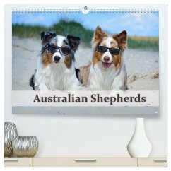 Wunderbare Australian Shepherds (hochwertiger Premium Wandkalender 2024 DIN A2 quer), Kunstdruck in Hochglanz