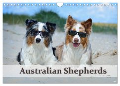 Wunderbare Australian Shepherds (Wandkalender 2024 DIN A4 quer), CALVENDO Monatskalender