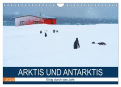 Arktis und Antarktis - Eisig durch das Jahr (Wandkalender 2024 DIN A4 quer), CALVENDO Monatskalender