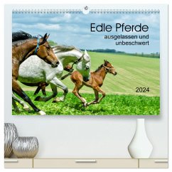Edle Pferde - ausgelassen und unbeschwert (hochwertiger Premium Wandkalender 2024 DIN A2 quer), Kunstdruck in Hochglanz