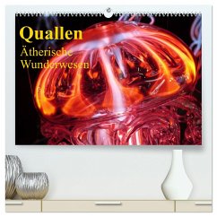 Quallen ¿ Ätherische Wunderwesen (hochwertiger Premium Wandkalender 2024 DIN A2 quer), Kunstdruck in Hochglanz - Stanzer, Elisabeth
