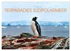 Tierparadies Südpolarmeer (Wandkalender 2024 DIN A2 quer), CALVENDO Monatskalender