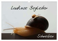 Lautlose Begleiter - Schnecken (Wandkalender 2024 DIN A3 quer), CALVENDO Monatskalender