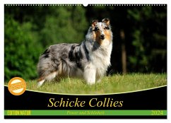 Schicke Collies (Wandkalender 2024 DIN A2 quer), CALVENDO Monatskalender