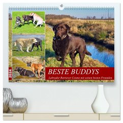 Beste Buddys (hochwertiger Premium Wandkalender 2024 DIN A2 quer), Kunstdruck in Hochglanz