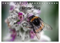 Hummelflug (Tischkalender 2024 DIN A5 quer), CALVENDO Monatskalender