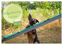 Welpentraining auf dem Hundeplatz (Wandkalender 2024 DIN A4 quer), CALVENDO Monatskalender