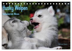 Husky Welpen (Tischkalender 2024 DIN A5 quer), CALVENDO Monatskalender - Ebardt, Michael