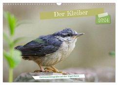 Der Kleiber - Ostfriesenfotografie und der Vogel-Zorro (Wandkalender 2024 DIN A3 quer), CALVENDO Monatskalender