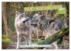 Wolf - wild und schön (Wandkalender 2024 DIN A2 quer), CALVENDO Monatskalender