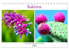 Kakteen - stachelige, blühende Schönheiten (Tischkalender 2024 DIN A5 quer), CALVENDO Monatskalender