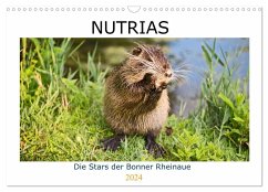 NUTRIAS - Die Stars der Bonner Rheinaue (Wandkalender 2024 DIN A3 quer), CALVENDO Monatskalender - boeTtchEr, U