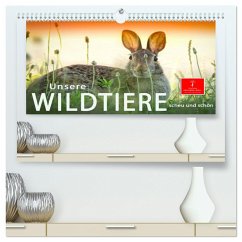 Unsere Wildtiere - scheu und schön (hochwertiger Premium Wandkalender 2024 DIN A2 quer), Kunstdruck in Hochglanz