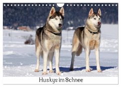 Huskys im Schnee (Wandkalender 2024 DIN A4 quer), CALVENDO Monatskalender - Zeller & Christian Kiedy, Katrin