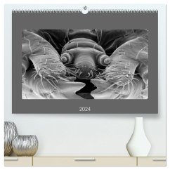 Erlebnis Mikrokosmos (hochwertiger Premium Wandkalender 2024 DIN A2 quer), Kunstdruck in Hochglanz