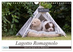 Lagotto Romagnolo - Spiel und Spaß in der Welpenzeit (Wandkalender 2024 DIN A4 quer), CALVENDO Monatskalender - Teßen, Sonja