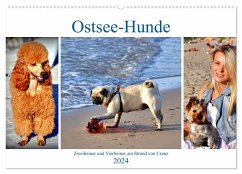 Ostsee-Hunde - Zweibeiner und Vierbeiner am Strand von Cranz (Wandkalender 2024 DIN A2 quer), CALVENDO Monatskalender