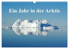 Ein Jahr in der Arktis (Wandkalender 2024 DIN A3 quer), CALVENDO Monatskalender - on Tour, Schluffis