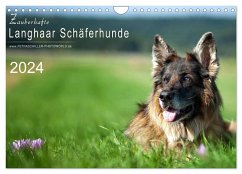 Zauberhafte Langhaar Schäferhunde (Wandkalender 2024 DIN A4 quer), CALVENDO Monatskalender