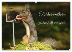 Eichhörnchen - zauberhaft verspielt (Wandkalender 2024 DIN A2 quer), CALVENDO Monatskalender