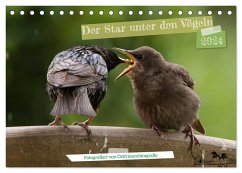 Der Star unter den Vögeln - Fotografiert von Ostfriesenfotografie (Tischkalender 2024 DIN A5 quer), CALVENDO Monatskalender