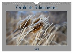 Verblühte Schönheiten (Wandkalender 2024 DIN A4 quer), CALVENDO Monatskalender - Spieß, Petra