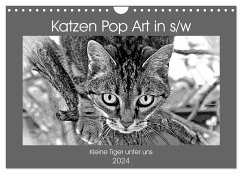 Katzen Pop Art in s/w - Kleine Tiger unter uns (Wandkalender 2024 DIN A4 quer), CALVENDO Monatskalender