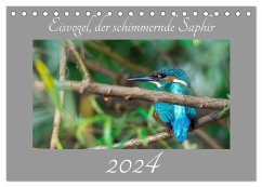 Eisvogel, der schimmernde Saphir (Tischkalender 2024 DIN A5 quer), CALVENDO Monatskalender