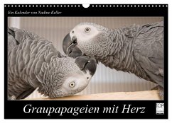 Graupapageien mit Herz (Wandkalender 2024 DIN A3 quer), CALVENDO Monatskalender - Keller, Nadine