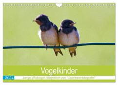 Vogelkinder - Junge Wildvögel (Wandkalender 2024 DIN A4 quer), CALVENDO Monatskalender