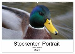 Stockenten Portrait (Wandkalender 2024 DIN A2 quer), CALVENDO Monatskalender - Mahrhofer, Verena