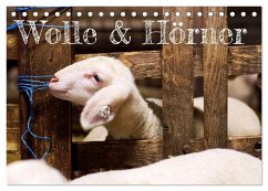 Wolle & Hörner (Tischkalender 2024 DIN A5 quer), CALVENDO Monatskalender