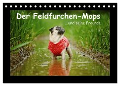 Der Feldfurchen-Mops (Tischkalender 2024 DIN A5 quer), CALVENDO Monatskalender