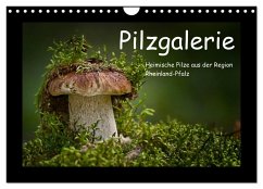 Pilzgalerie - Heimische Pilze aus der Region Rheinland-Pfalz (Wandkalender 2024 DIN A4 quer), CALVENDO Monatskalender