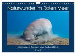 Naturwunder im Roten Meer (Wandkalender 2024 DIN A4 quer), CALVENDO Monatskalender