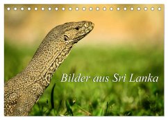 Bilder aus Sri Lanka (Tischkalender 2024 DIN A5 quer), CALVENDO Monatskalender - Ziemer, Astrid