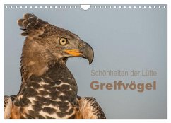 Schönheiten der Lüfte - Greifvögel (Wandkalender 2024 DIN A4 quer), CALVENDO Monatskalender