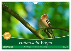 Heimische Vögel (Wandkalender 2024 DIN A4 quer), CALVENDO Monatskalender
