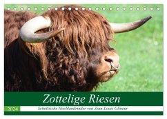 Zottelige Riesen - Schottische Hochlandrinder (Tischkalender 2024 DIN A5 quer), CALVENDO Monatskalender