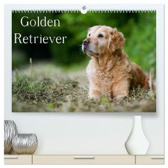 Golden Retriever (hochwertiger Premium Wandkalender 2024 DIN A2 quer), Kunstdruck in Hochglanz