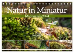 Natur in Miniatur - Mooswelten (Tischkalender 2024 DIN A5 quer), CALVENDO Monatskalender - Walther, Kevin