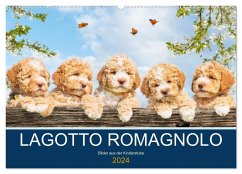 Lagotto Romagnolo - Bilder aus der Kinderstube (Wandkalender 2024 DIN A2 quer), CALVENDO Monatskalender