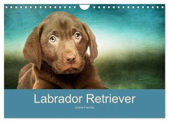 Labrador Retriever unsere Freunde (Wandkalender 2024 DIN A4 quer), CALVENDO Monatskalender