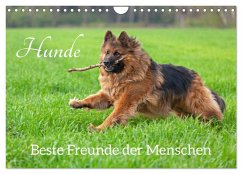 Hunde - Beste Freunde der Menschen (Wandkalender 2024 DIN A4 quer), CALVENDO Monatskalender - Kuttig, Siegfried
