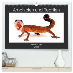 Amphibien und Reptilien (hochwertiger Premium Wandkalender 2024 DIN A2 quer), Kunstdruck in Hochglanz