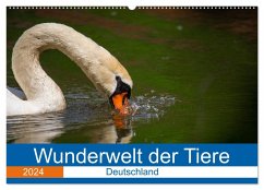 Wunderwelt der Tiere - Deutschland (Wandkalender 2024 DIN A2 quer), CALVENDO Monatskalender - Fritsche (Five-Birds Photography - www.5bp.de), Dirk