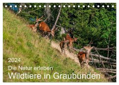 Die Natur erleben - Wildtiere in Graubünden (Tischkalender 2024 DIN A5 quer), CALVENDO Monatskalender - Plattner, Jürg