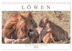 Löwen - Raubkatzen Afrikas (Wandkalender 2024 DIN A4 quer), CALVENDO Monatskalender